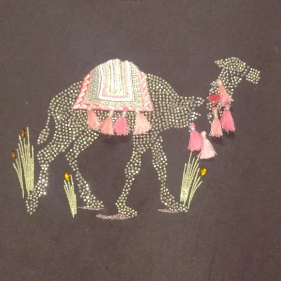 Karen Scott Brown Long Sleeve Top with Camel Design - Picture 2 of 4